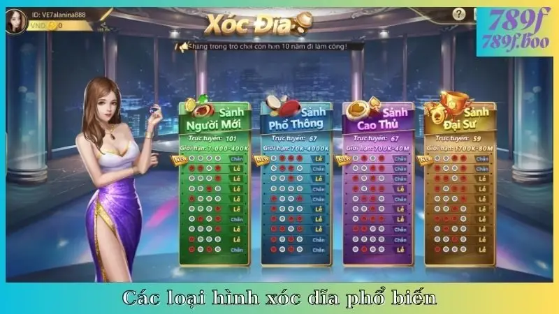 Các loại hình xóc đĩa phổ biến