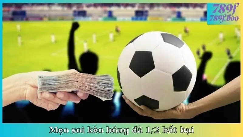 Mẹo soi kèo bóng đá 1/2 bất bại