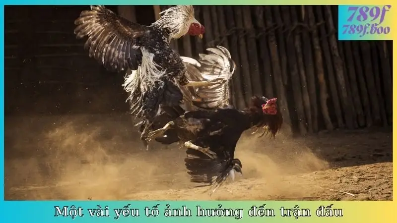 Một vài yếu tố ảnh hưởng đến trận đấu