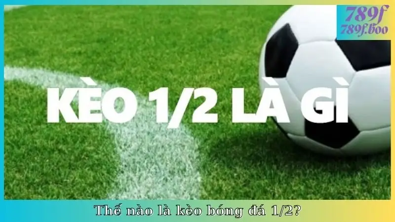 Thế nào là kèo bóng đá 1/2?