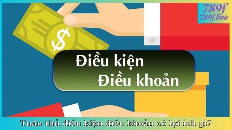Tuân thủ điều kiện điều khoản có lợi ích gì?